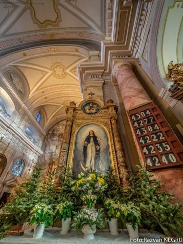 Foto Razvan NEGRU-20-of-120