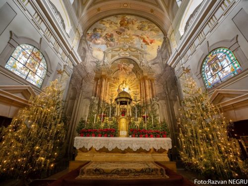 Foto Razvan NEGRU-83-of-120