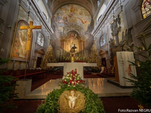 Foto Razvan NEGRU-91-of-120